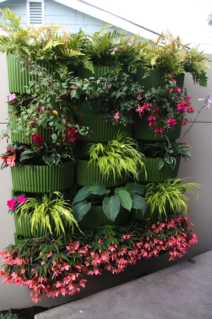 Living Walls or Vertical Gardens for indoor gardening