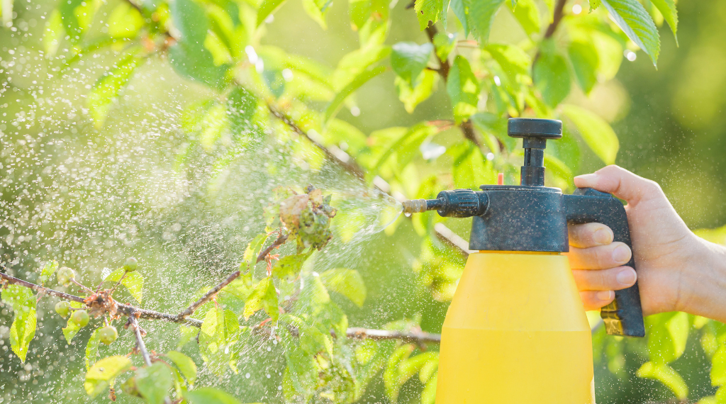 Natural Pest Control