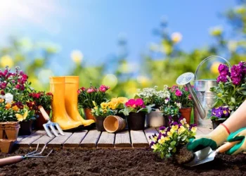 Spring landscaping