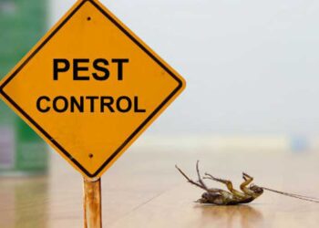 pest control
