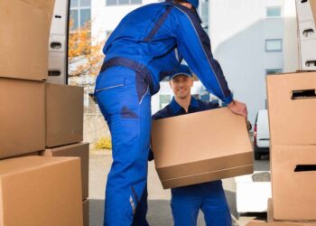 Professional Movers Loading the Cardboard boxes in the truck