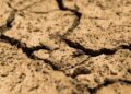 Drought Aridity Dry Earth Soil