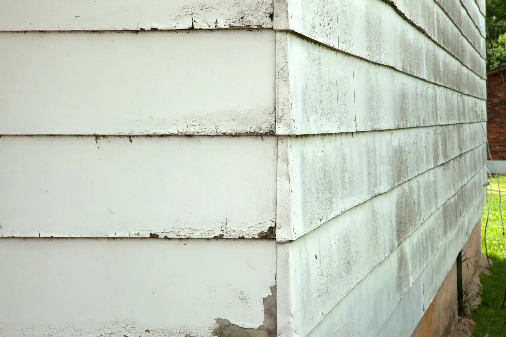 Mold and Mildew in masonite siding