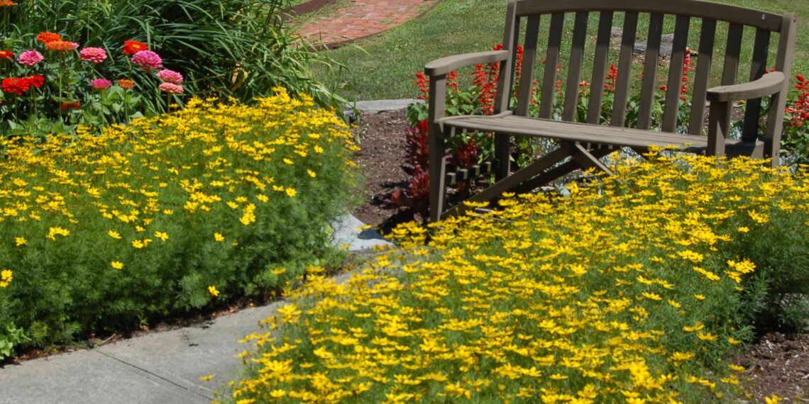 Professional landscaping