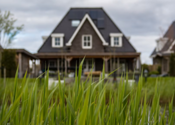A building behind the grasses