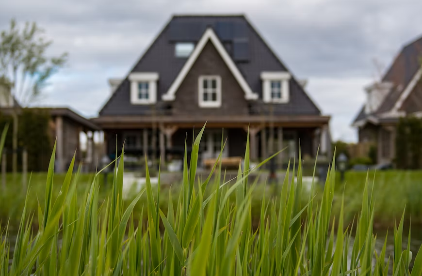 A building behind the grasses