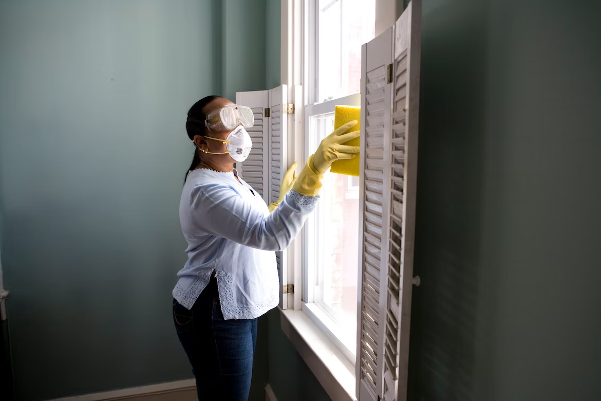 A woman cleaning her window to pest-proof it 